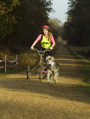 newforest